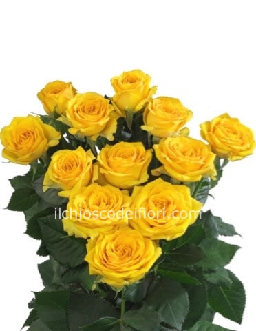 Rose colore giallo da comporre in mazzo per numero di steli.