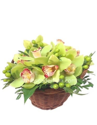 Cestino o ciotola con fiori di orchidea cymbidium.