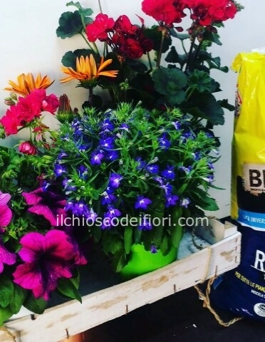 KIT DA GIARDINAGGIO