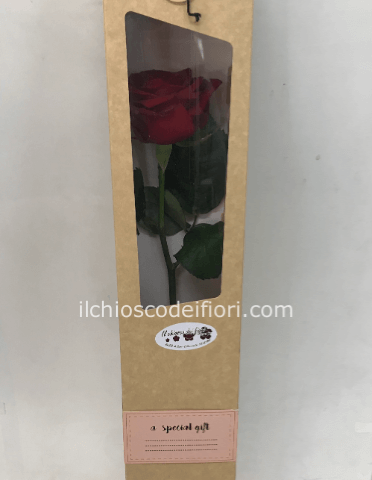 scatola con una rosa