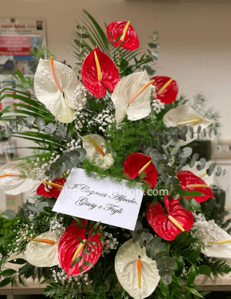 Composizione anthurium