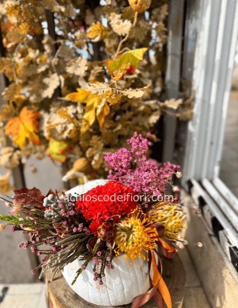 Zucca  autunnale small