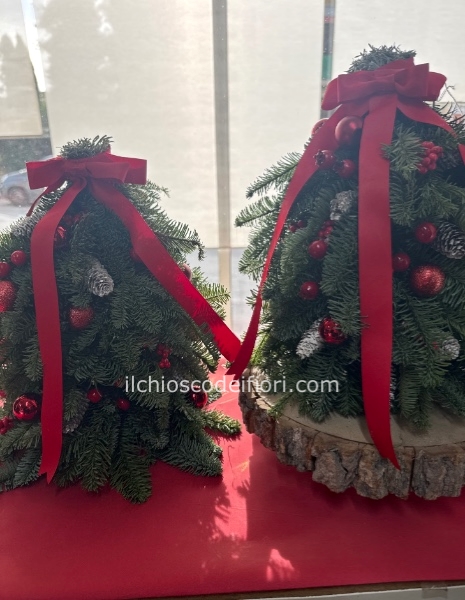 Albero abete Normandiano cm 30