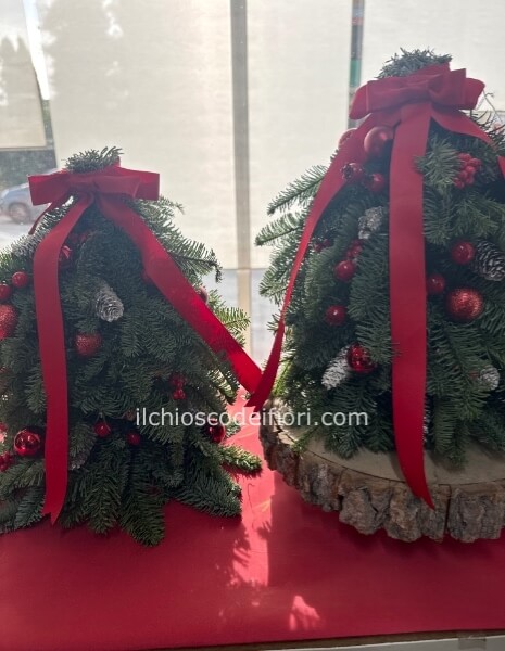 Albero abete Normandiano cm 30