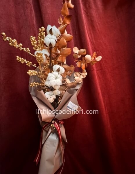 Fiore, singolo, fiori di cotone