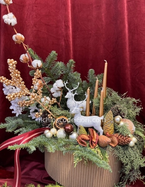 Max box colori terra 