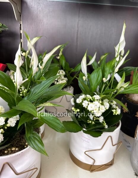 Vado ceramica stella