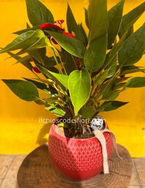 Mini anthurium ceramica