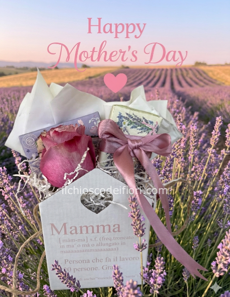 Scatola casetta +saponette 