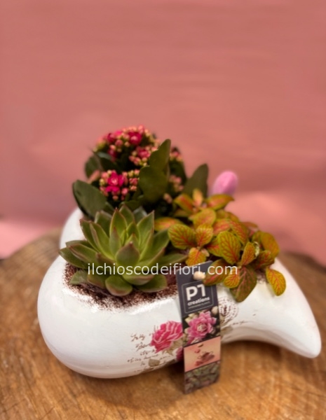 Cuore ceramica piante