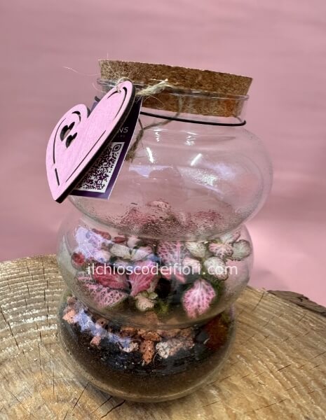 Terrarium