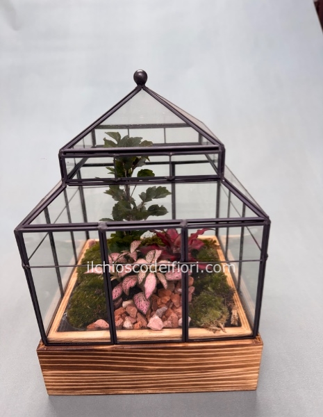 Terrarium serra